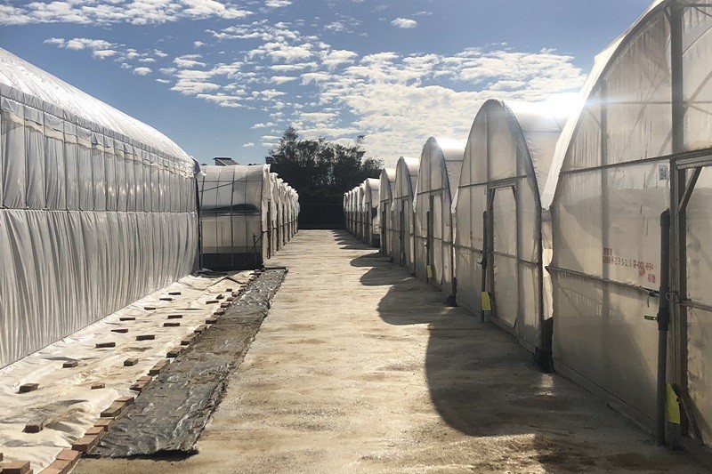 農觀溫網室工程－新北桃園新竹圍籬搭建