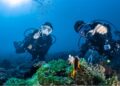 小琉球潛水體驗推薦