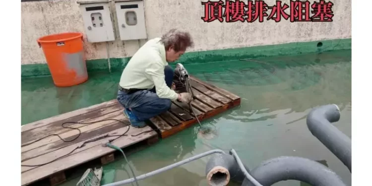 台北包通